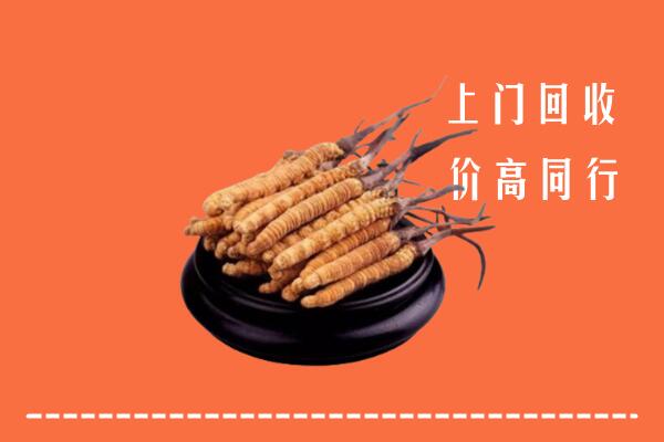 高价求购：河池回收散虫草