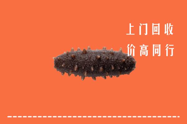 高价求购：河池回收海参